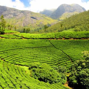 South India Tour Package